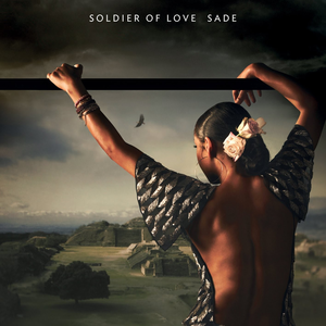 Link-to-Soldier-of-Love-in-the-library-catalog