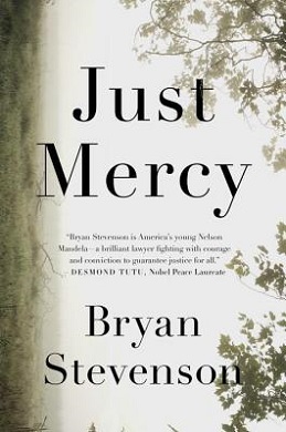 Link-to-Just-Mercy-in-the-library-catalog