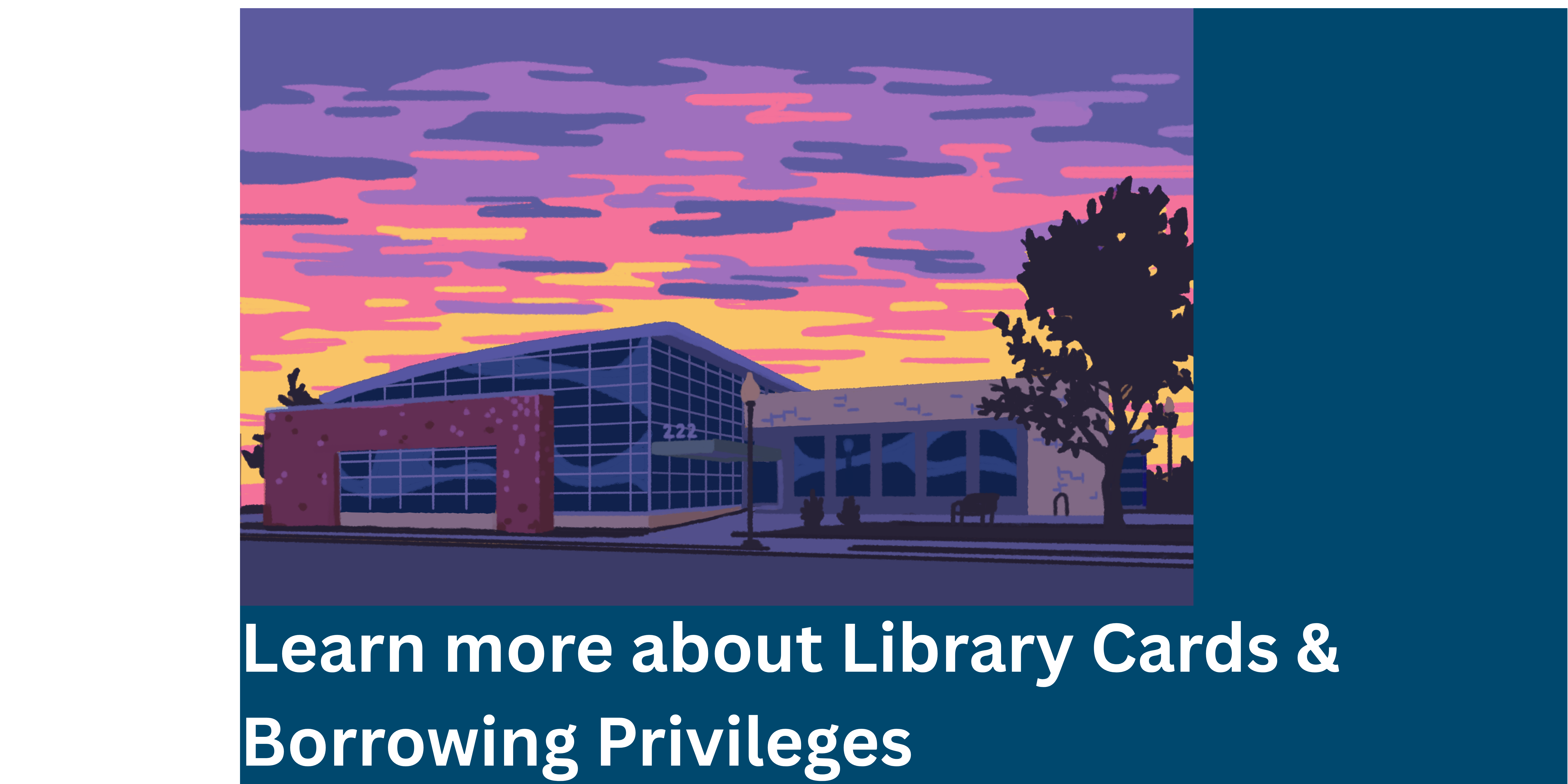 Library Cards