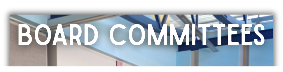Board Committees