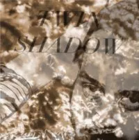 Album Cover of Forget by Twin Shadow