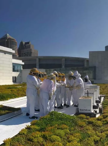 Bee is for Beneficial with Bees in the D