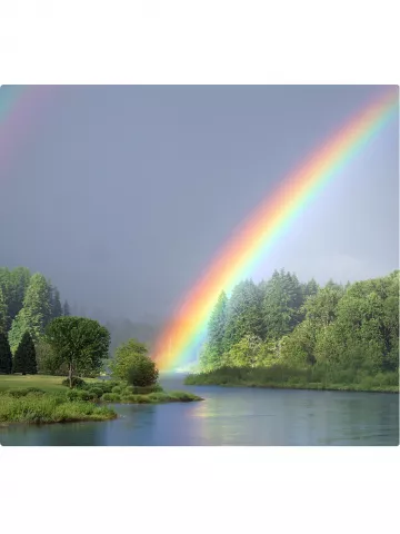 Colors In Nature