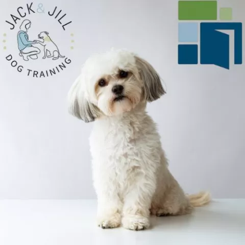 Learn to Speak Dog