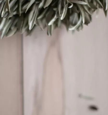 DIY Winter Wreaths (FULL)