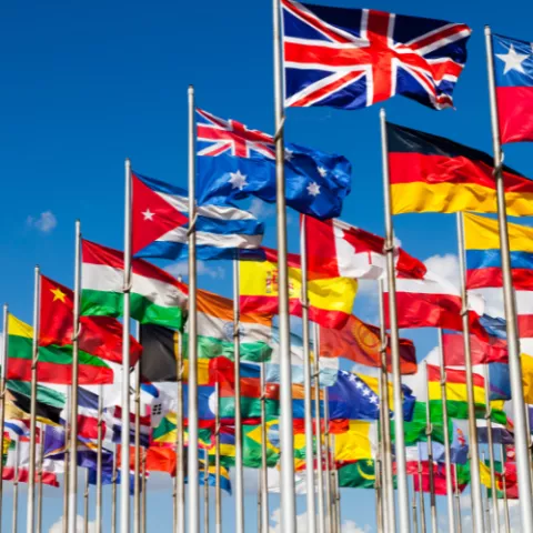 Vexillology!